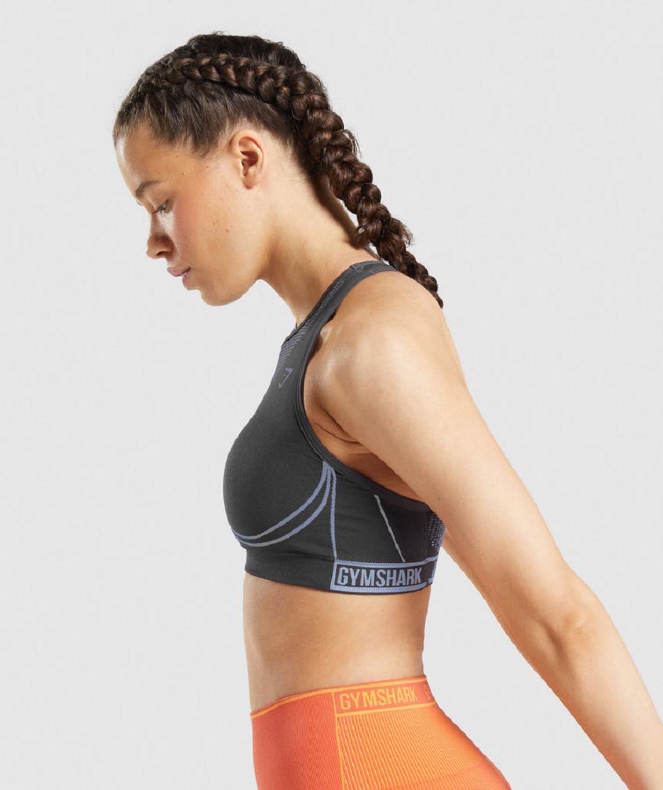 Gymshark Apex Seamless Ženske Sportski Grudnjak Crne Sive Boje Lavande Plave | HR 3318VRW